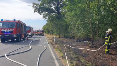 Brand Wald - B246, OV Zauchwitz - Stangenhagen